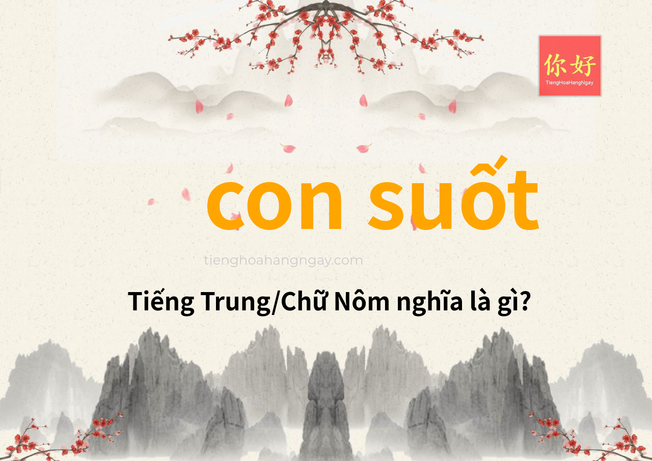 con suốt tiếng Trung là gì?